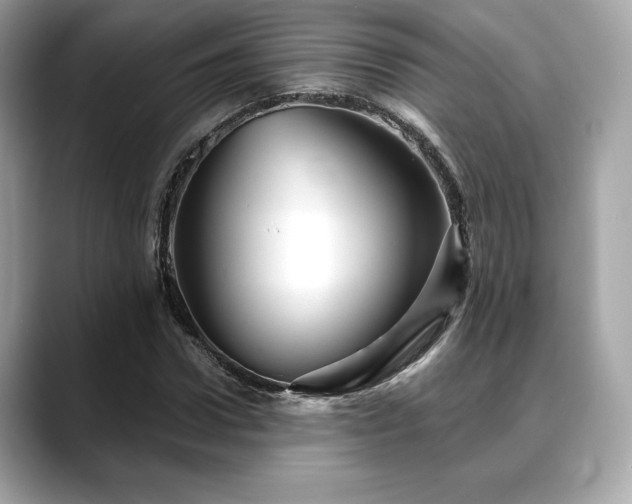 X0000088690922200705311154