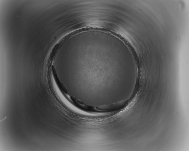 X0000088690923200705311154