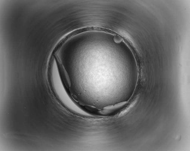X0000088690924200705311154