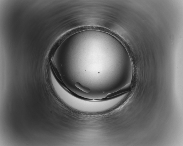 X0000088690926200705311154