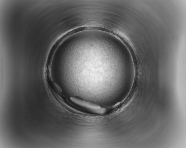 X0000088690928200705311154