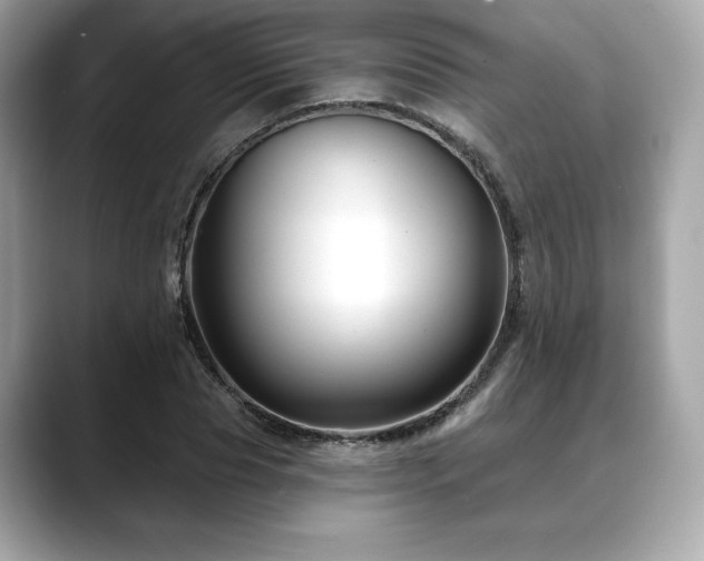 X0000088690929200705311154