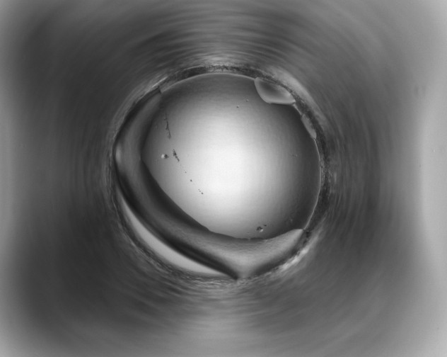 X0000088690930200705311154