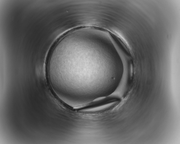 X0000088690932200705311154