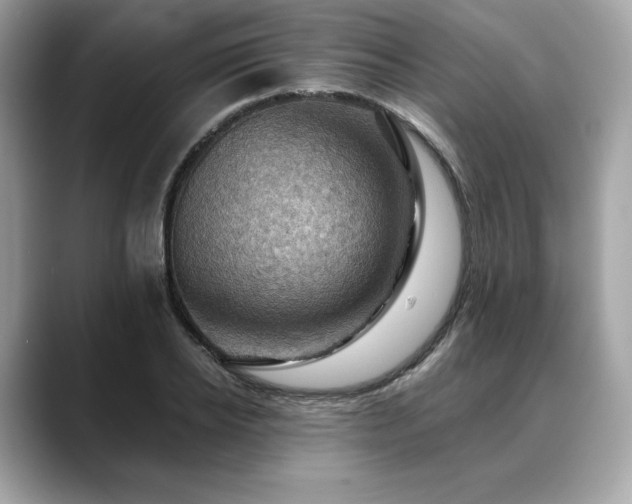 X0000088690934200705311154