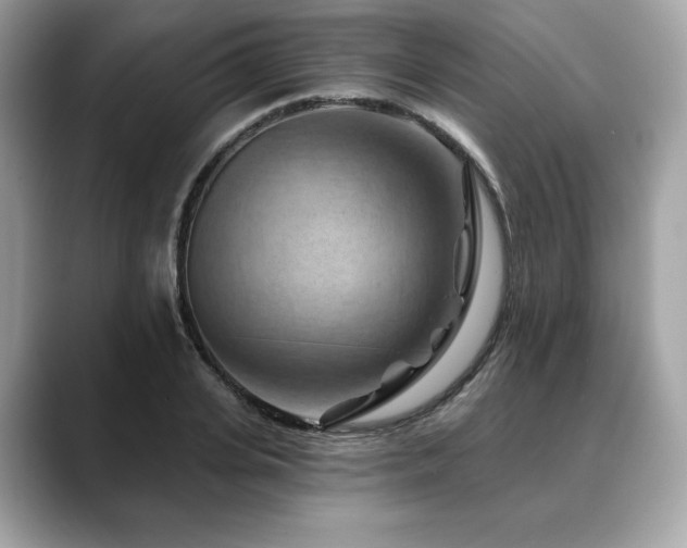 X0000088690935200705311154