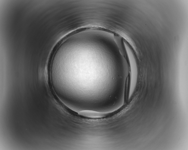 X0000088690936200705311154