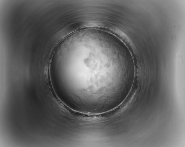 X0000088690937200705311154