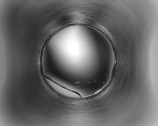 X0000088690938200705311154