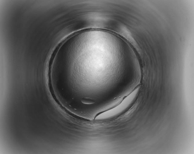 X0000088690939200705311154