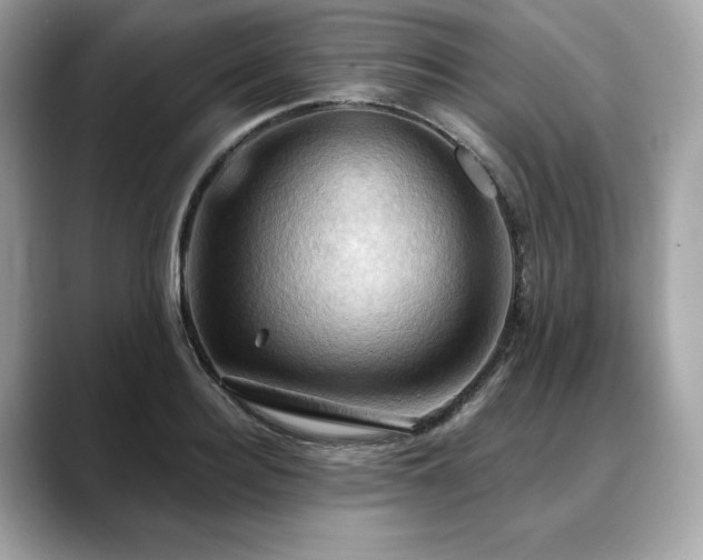 X0000088690940200705311154