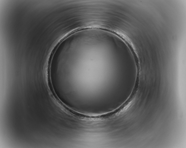 X0000088690941200705311154