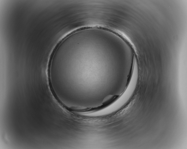 X0000088690943200705311154