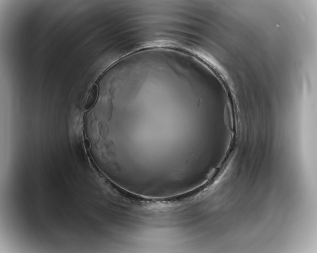 X0000088690945200705311154