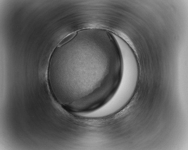 X0000088690946200705311154