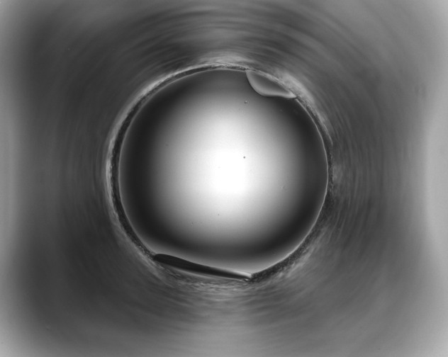 X0000088690947200705311154