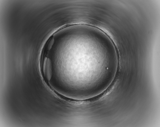 X0000088690949200705311154