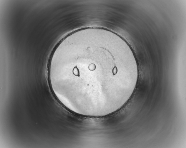 X0000088690950200705311154