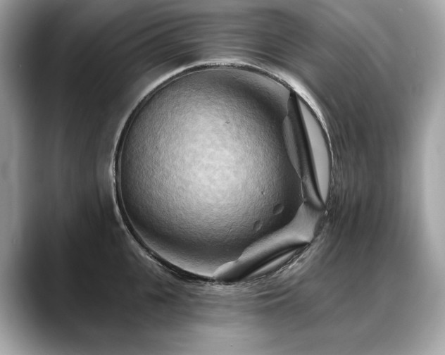 X0000088690951200705311154