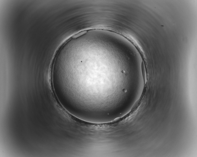 X0000088690952200705311154
