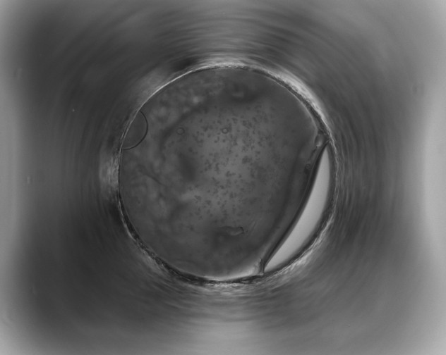 X0000088690953200705311154