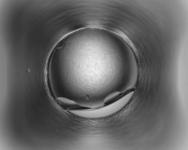 X0000088690955200705311154