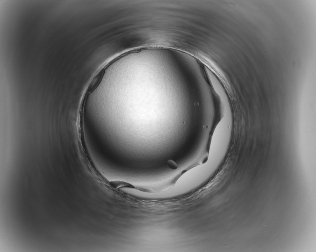 X0000088690956200705311154