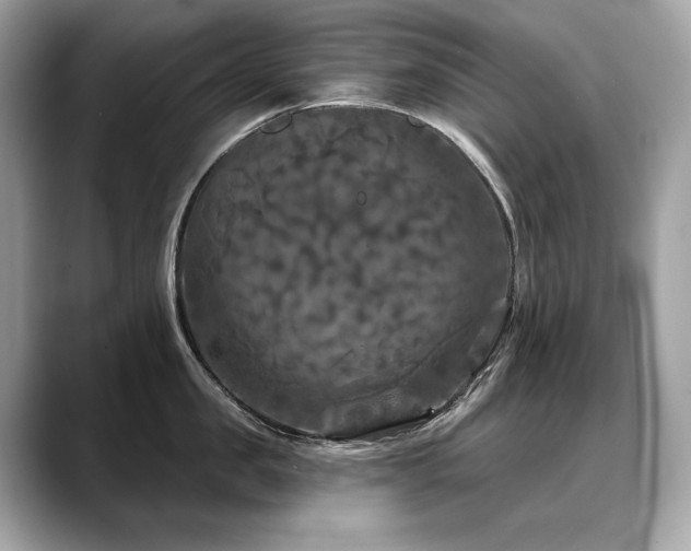 X0000088690957200705311154