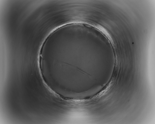 X0000088690958200705311154