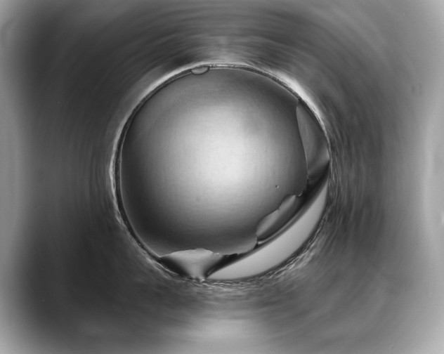 X0000088690959200705311154