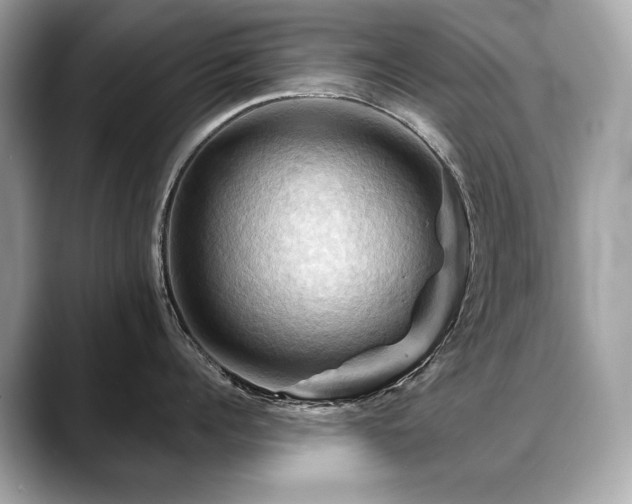 X0000088690960200705311154