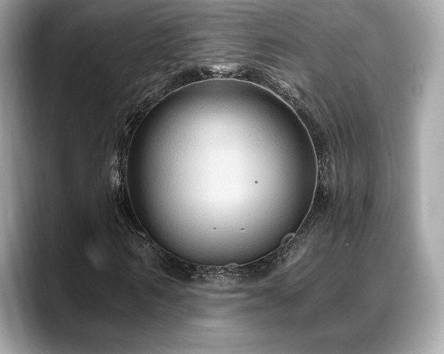 X0000088690962200705311154