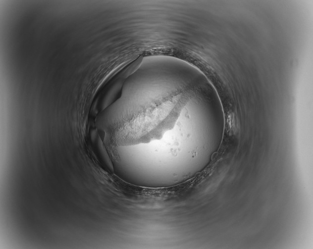 X0000088690963200705311154