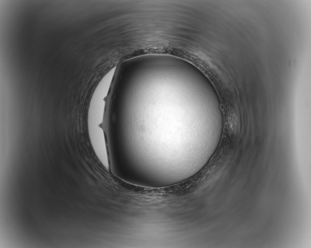 X0000088690964200705311154