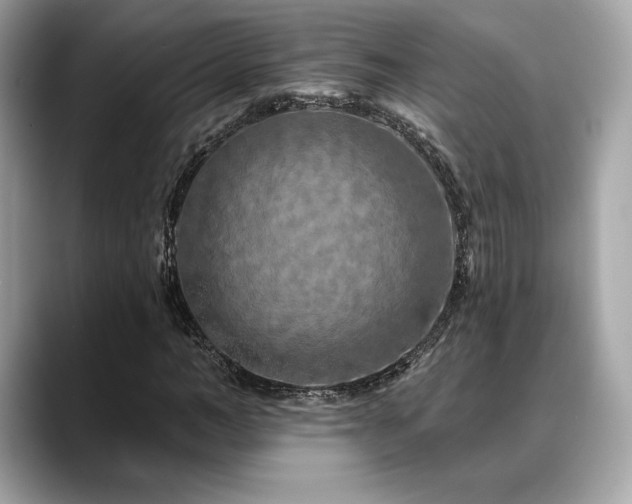 X0000088690966200705311154