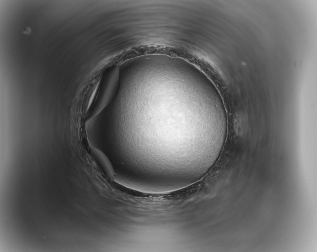 X0000088690968200705311154