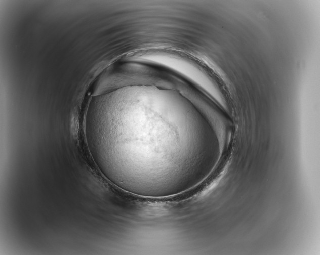 X0000088690969200705311154