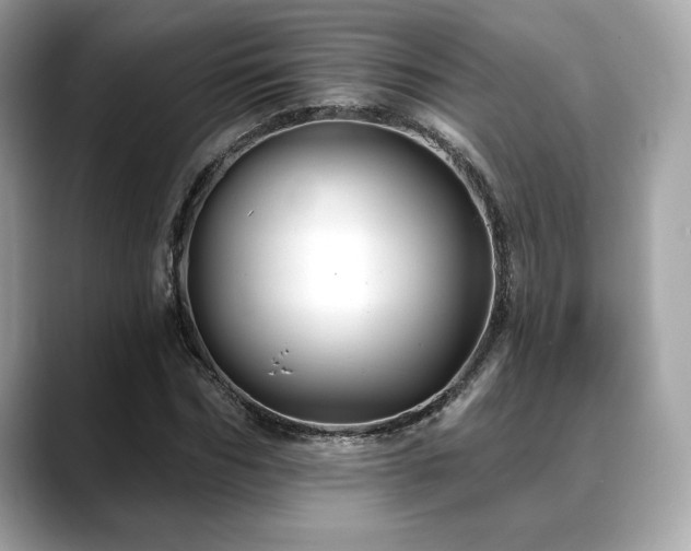 X0000088690970200705311153