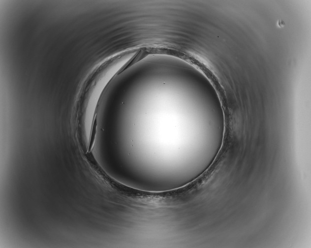 X0000088690971200705311153