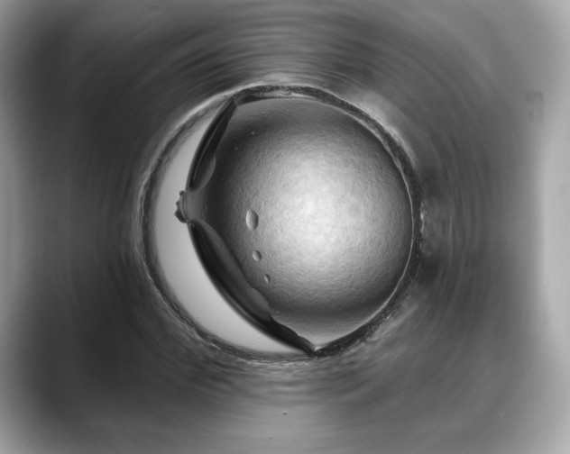 X0000088690972200705311153