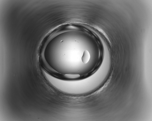 X0000088690973200705311153
