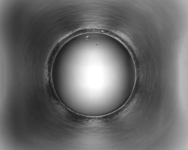 X0000088690974200705311153