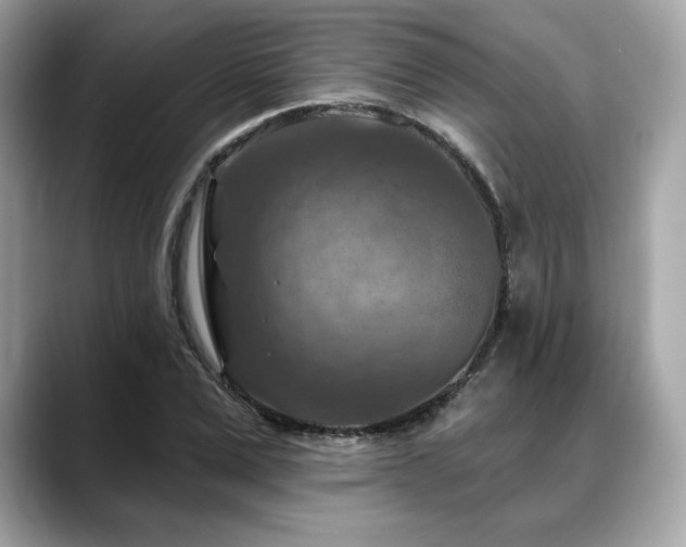 X0000088690975200705311153
