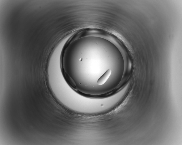 X0000088690977200705311153