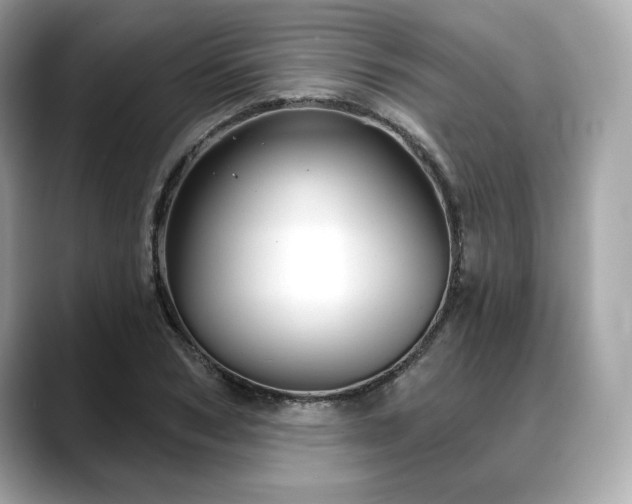 X0000088690978200705311153