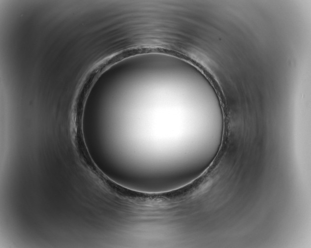 X0000088690979200705311153