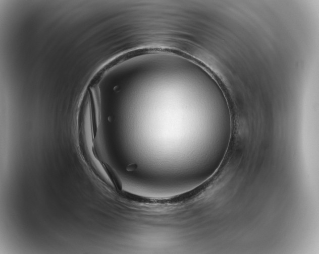 X0000088690980200705311153