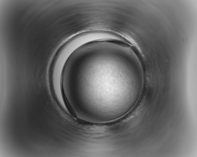 X0000088690981200705311153
