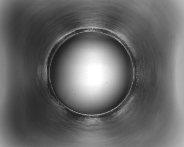 X0000088690982200705311153