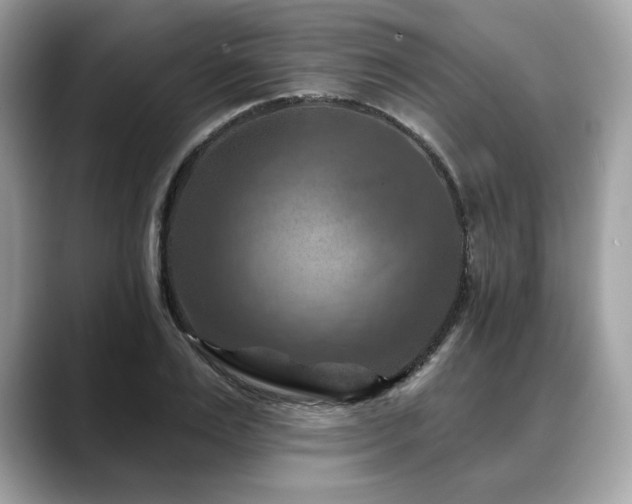 X0000088690983200705311153